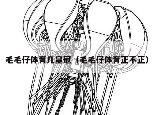 毛毛仔体育几皇冠（毛毛仔体育正不正）