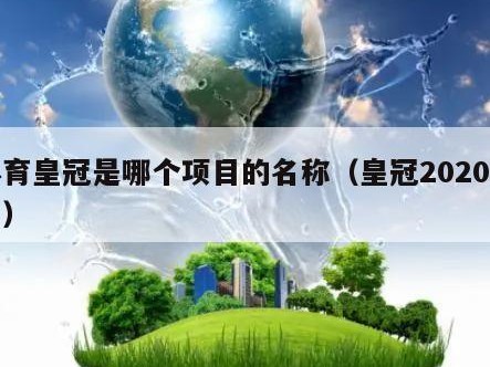 体育皇冠是哪个项目的名称（皇冠2020体育）