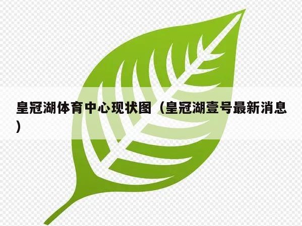 皇冠湖体育中心现状图（皇冠湖壹号最新消息）