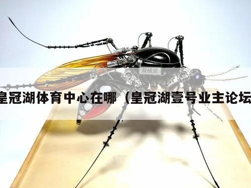 皇冠湖体育中心在哪（皇冠湖壹号业主论坛）