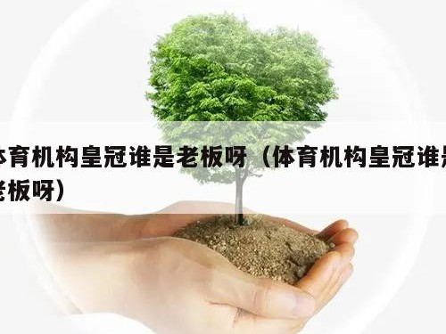 体育机构皇冠谁是老板呀（体育机构皇冠谁是老板呀）