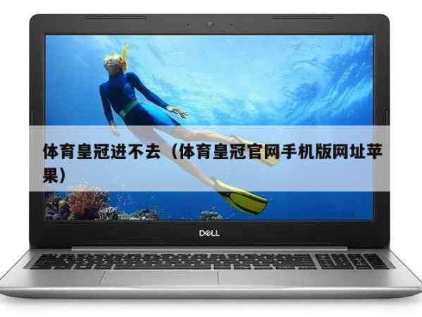 体育皇冠进不去（体育皇冠官网手机版网址苹果）