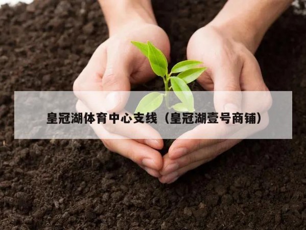 皇冠湖体育中心支线（皇冠湖壹号商铺）