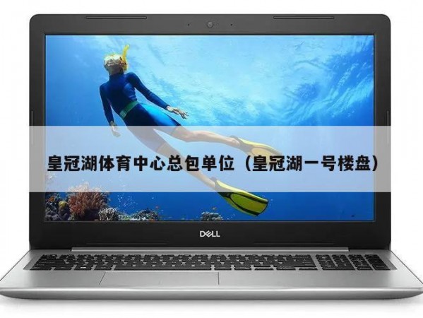 皇冠湖体育中心总包单位（皇冠湖一号楼盘）