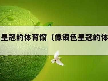 像银色皇冠的体育馆（像银色皇冠的体育馆是什么）