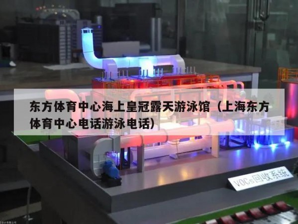 东方体育中心海上皇冠露天游泳馆（上海东方体育中心电话游泳电话）