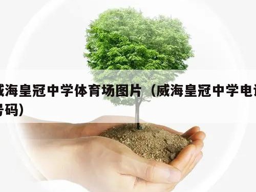 威海皇冠中学体育场图片（威海皇冠中学电话号码）