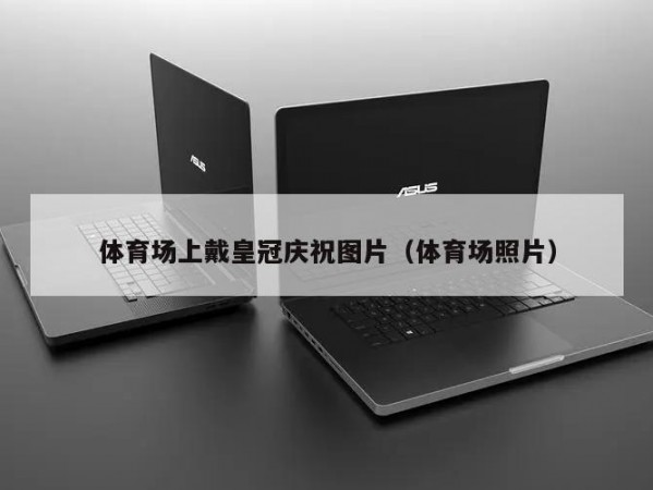 体育场上戴皇冠庆祝图片（体育场照片）