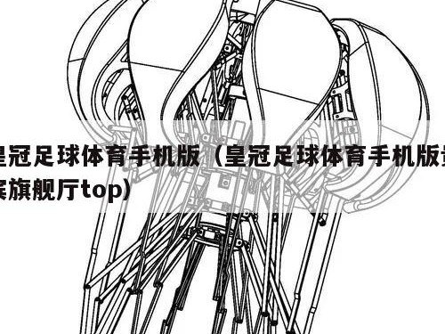 皇冠足球体育手机版（皇冠足球体育手机版贵宾旗舰厅top）