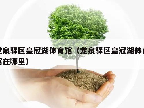 龙泉驿区皇冠湖体育馆（龙泉驿区皇冠湖体育馆在哪里）