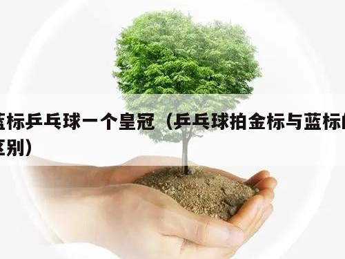 蓝标乒乓球一个皇冠（乒乓球拍金标与蓝标的区别）