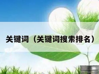关键词（关键词搜索排名）