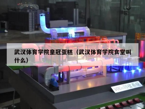 武汉体育学院皇冠蛋糕（武汉体育学院食堂叫什么）