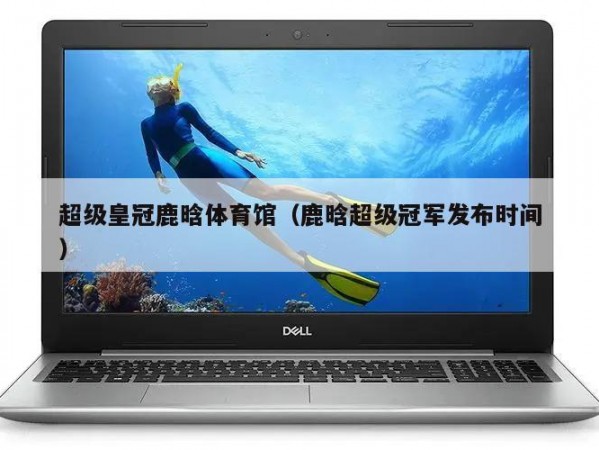 超级皇冠鹿晗体育馆（鹿晗超级冠军发布时间）