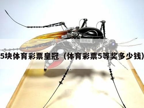 5块体育彩票皇冠（体育彩票5等奖多少钱）