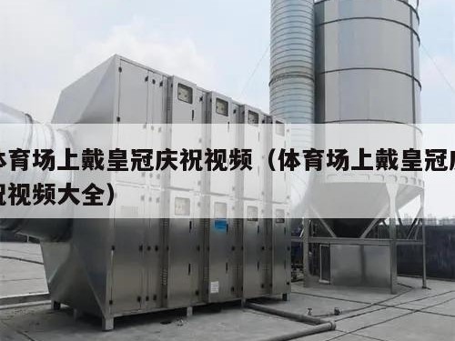 体育场上戴皇冠庆祝视频（体育场上戴皇冠庆祝视频大全）